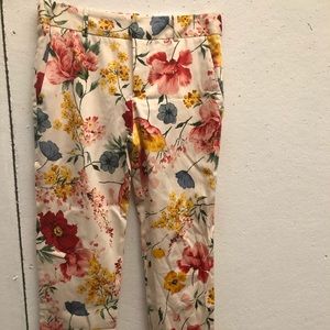 Zara cotton/spandex chino fit pants